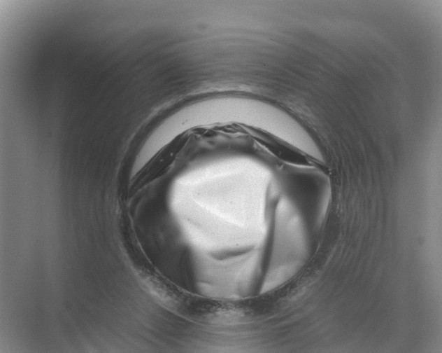 X0000070190256200606232020