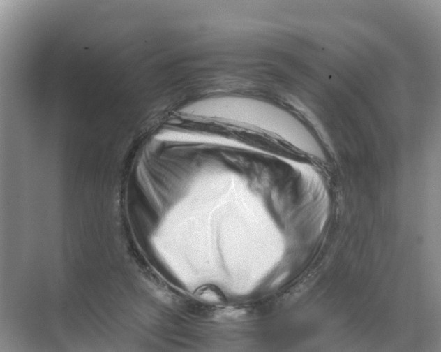 X0000070190257200606232020