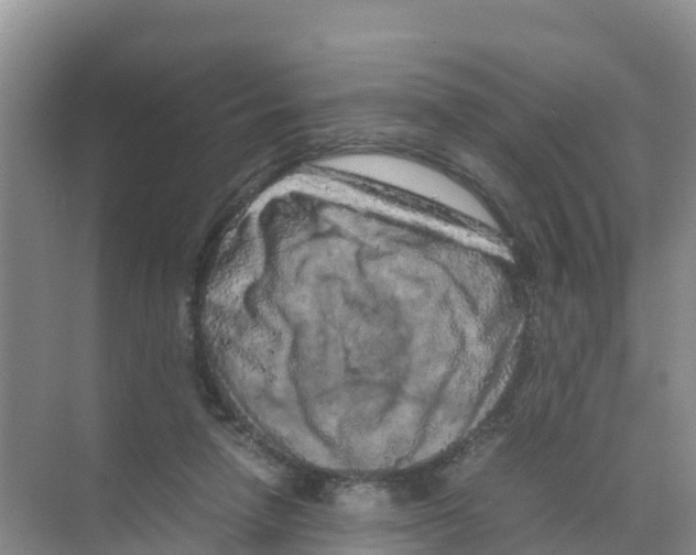 X0000070190258200606232020