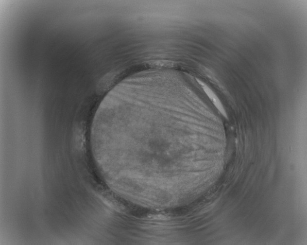 X0000070190259200606232020