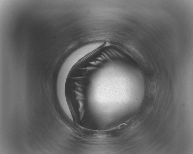 X0000070190260200606232020