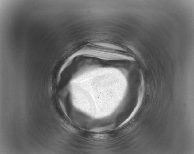 X0000070190261200606232020