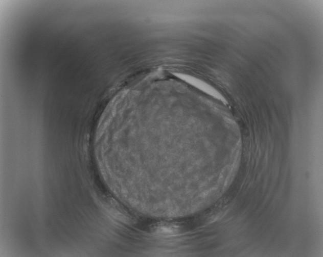 X0000070190263200606232020