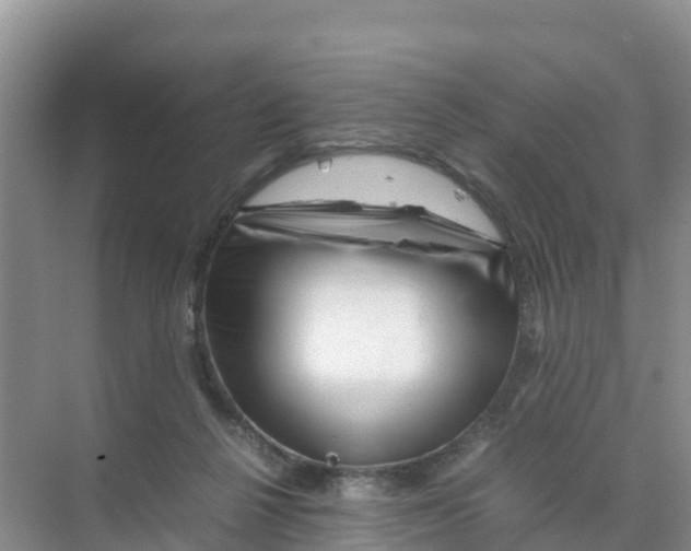 X0000070190264200606232020