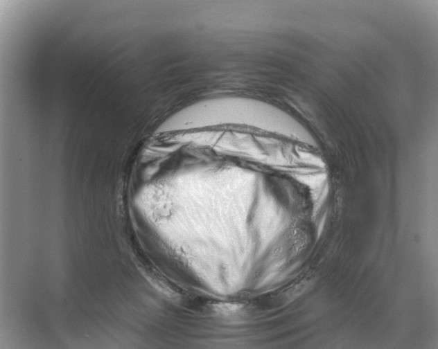 X0000070190265200606232020