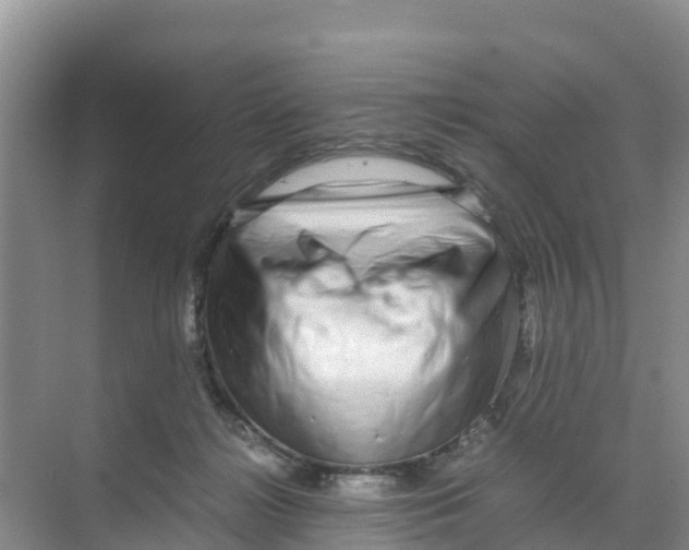 X0000070190268200606232020