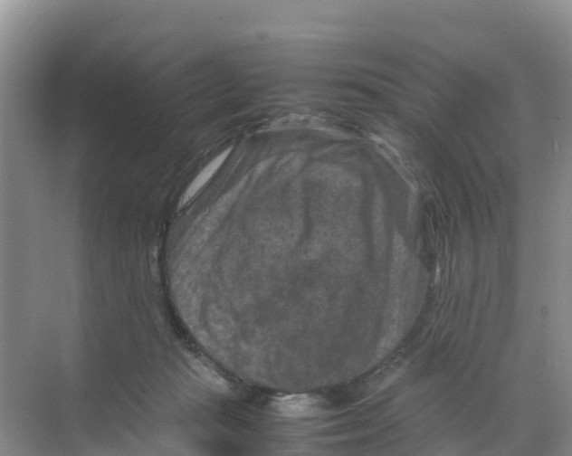 X0000070190269200606232020