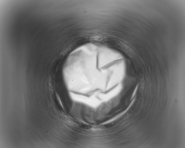 X0000070190270200606232020