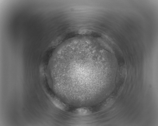 X0000070190272200606232020