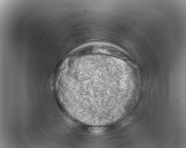 X0000070190273200606232020