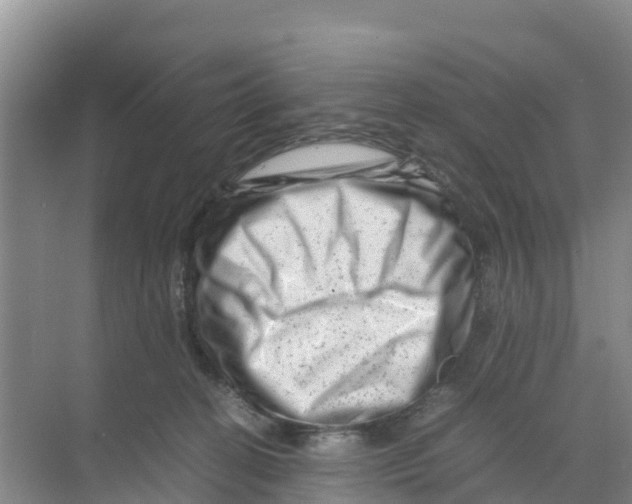 X0000070190274200606232020