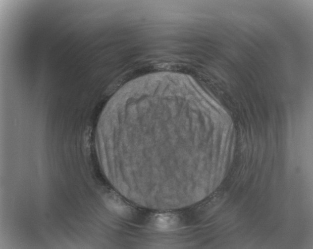 X0000070190275200606232020