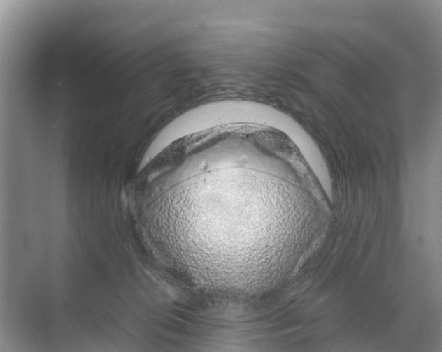 X0000070190276200606232020