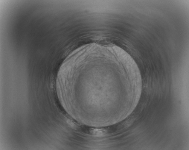 X0000070190277200606232020