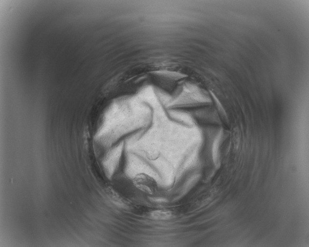 X0000070190279200606232020