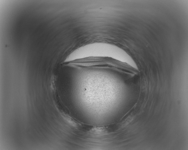 X0000070190280200606232020