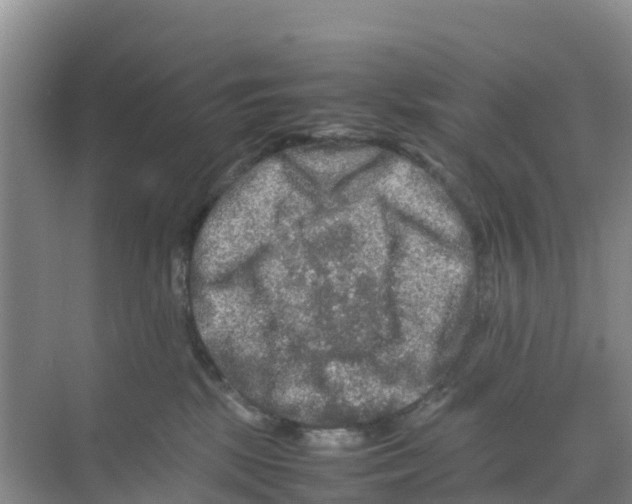 X0000070190281200606232020