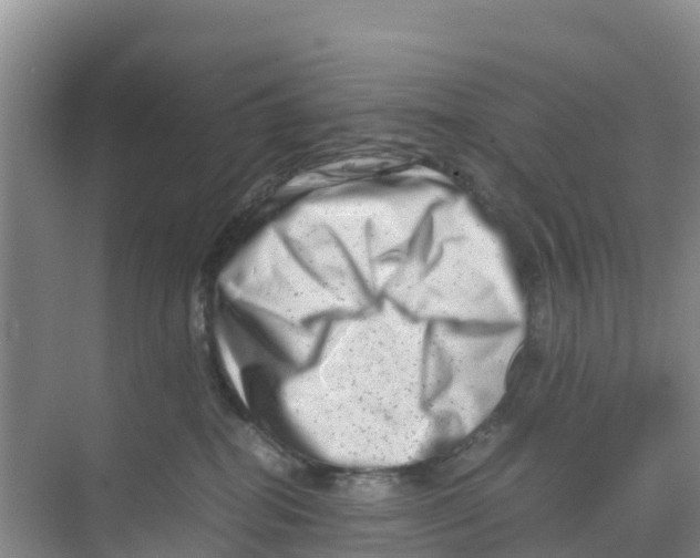 X0000070190282200606232020