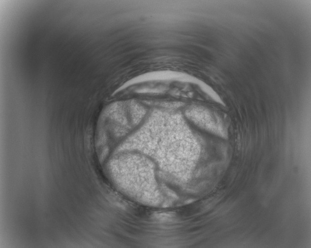 X0000070190283200606232020