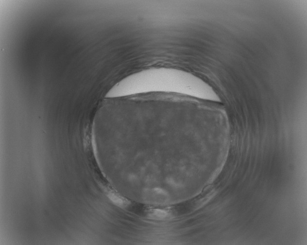 X0000070190285200606232021