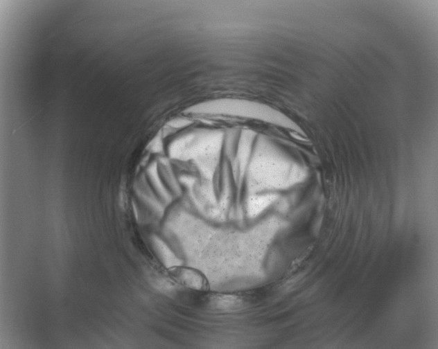 X0000070190287200606232021