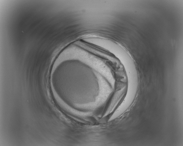 X0000070190289200606232020