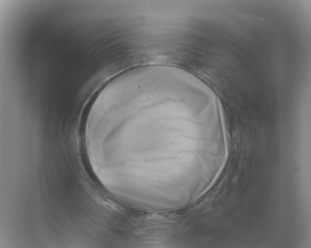 X0000070190290200606232020