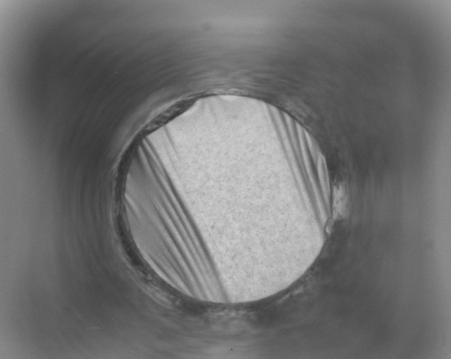 X0000070190291200606232020