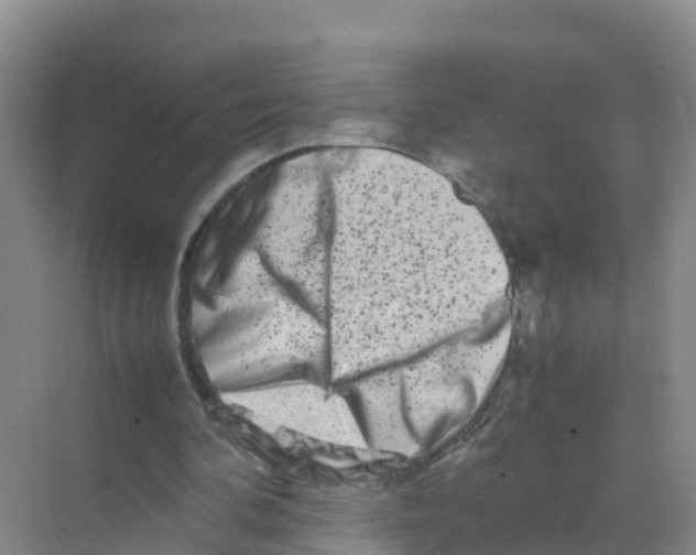 X0000070190292200606232020