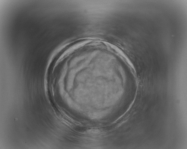 X0000070190294200606232020