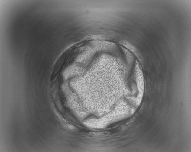 X0000070190297200606232020