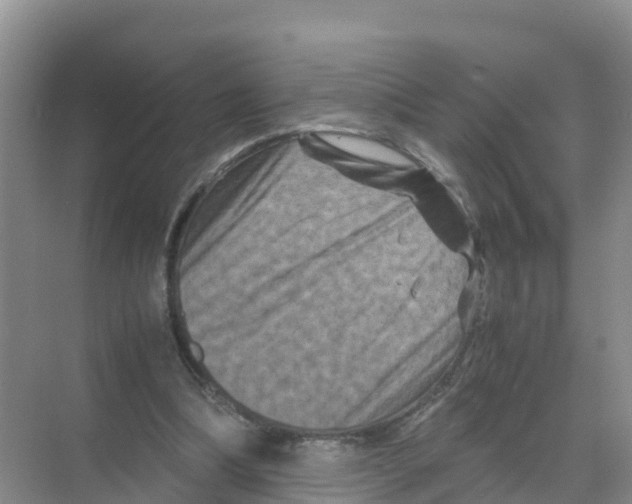 X0000070190298200606232020