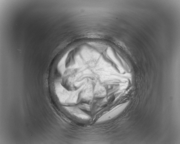 X0000070190299200606232020