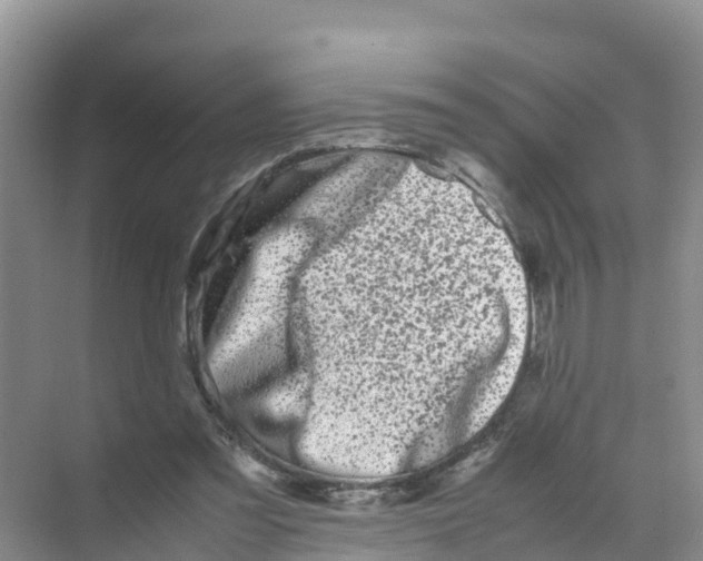 X0000070190301200606232020