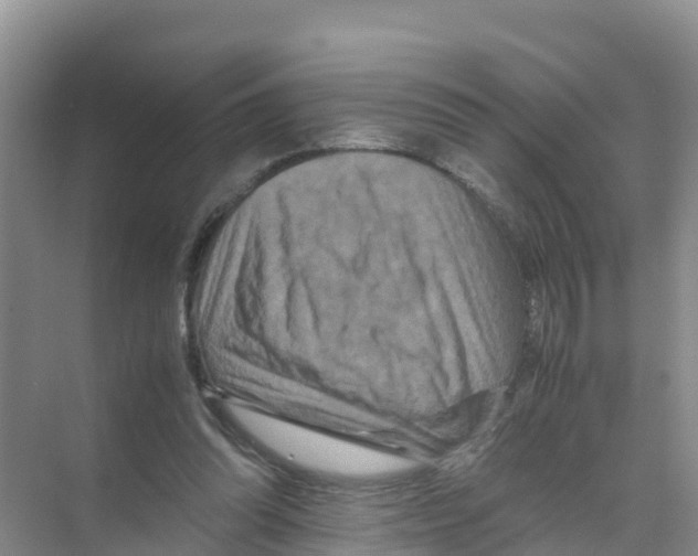 X0000070190302200606232020