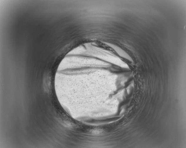 X0000070190308200606232019