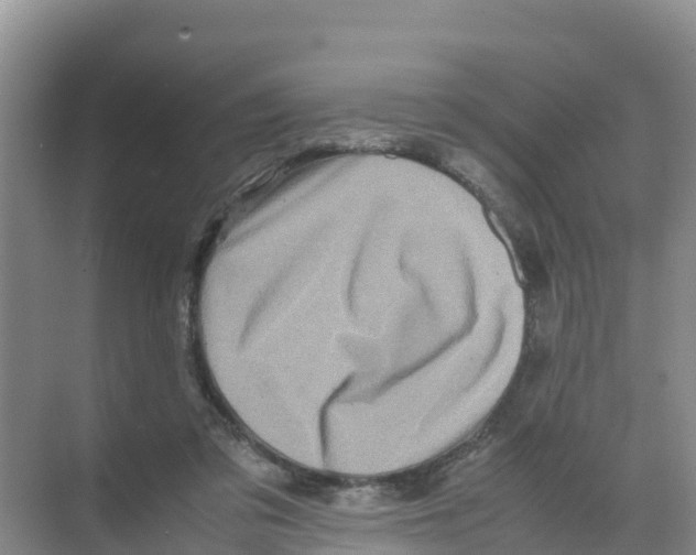 X0000070190309200606232019