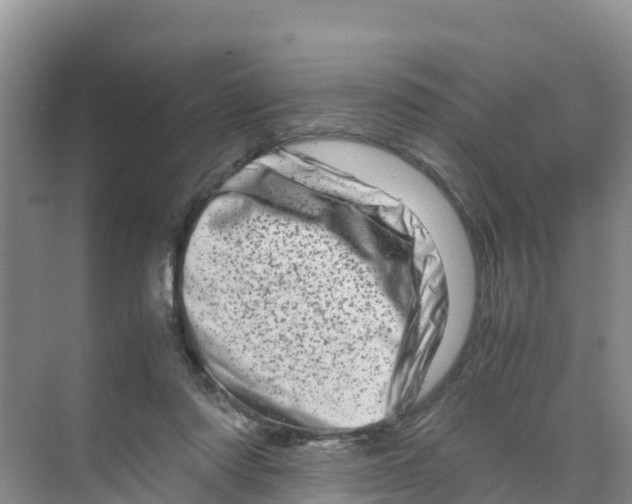 X0000070190310200606232019