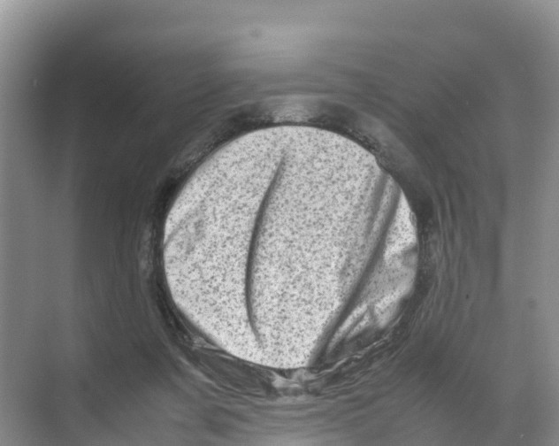 X0000070190311200606232019