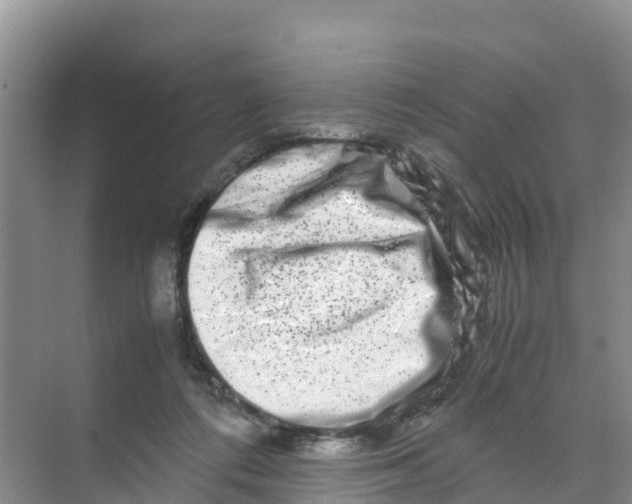 X0000070190312200606232019