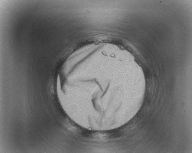 X0000070190313200606232019