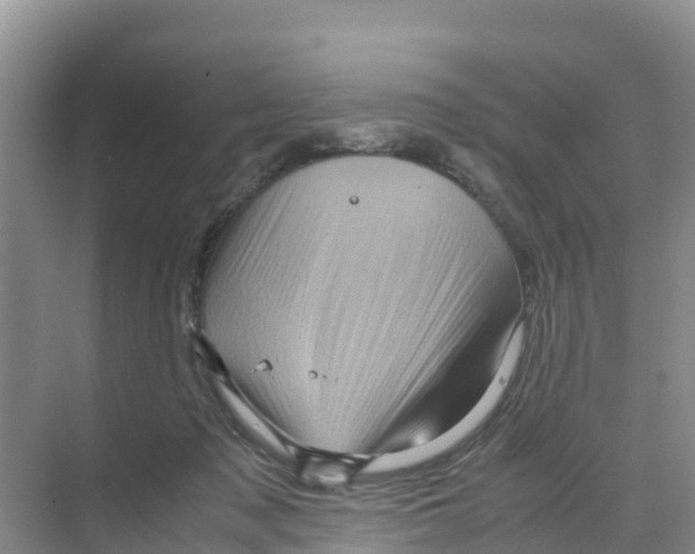 X0000070190317200606232019