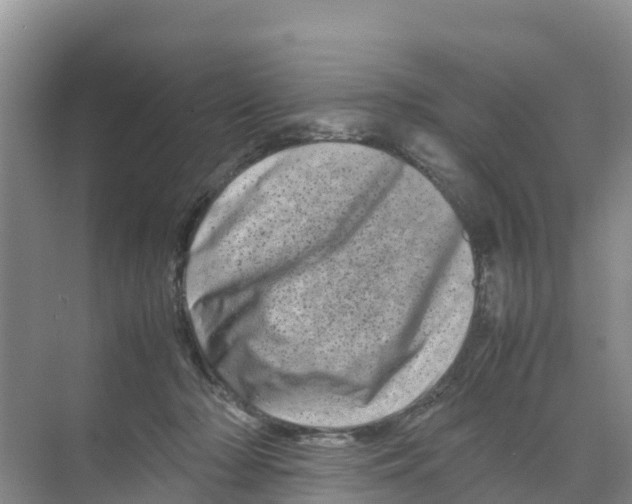 X0000070190318200606232019