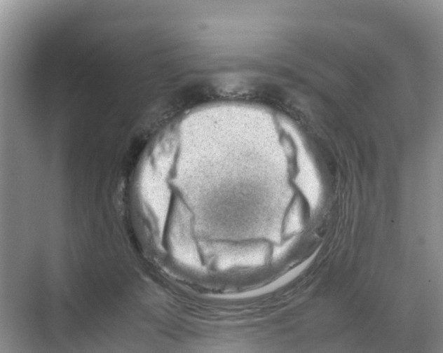 X0000070190319200606232019