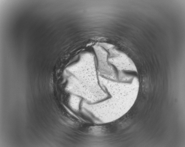 X0000070190320200606232019