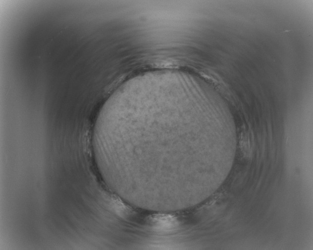 X0000070190322200606232019