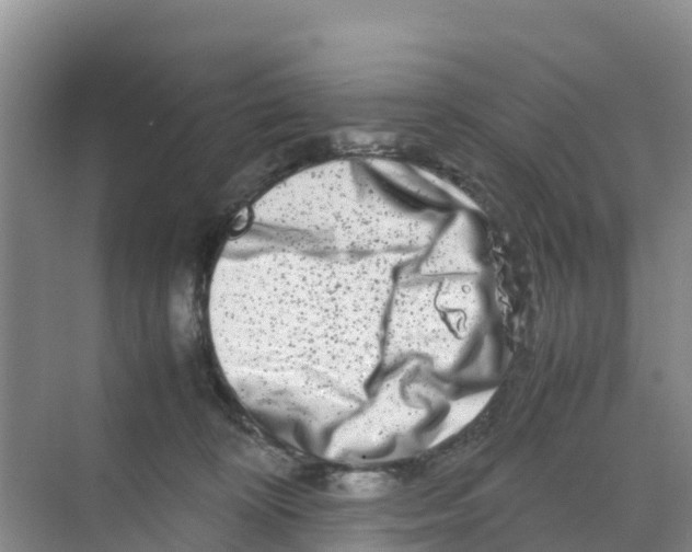 X0000070190324200606232019