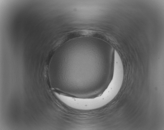 X0000070190325200606232019