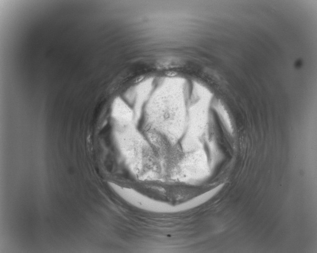 X0000070190327200606232019