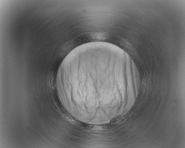 X0000070190330200606232019